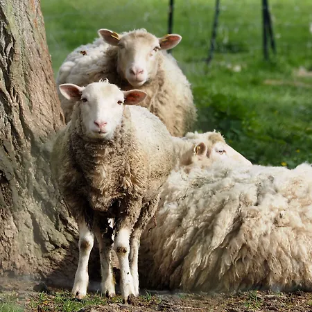 La Ferme Des Isles Panzió Autheuil-Authouillet