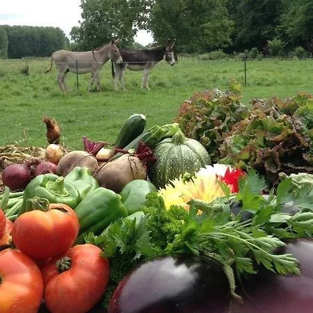 La Ferme Des Isles Bed & Breakfast 4*
