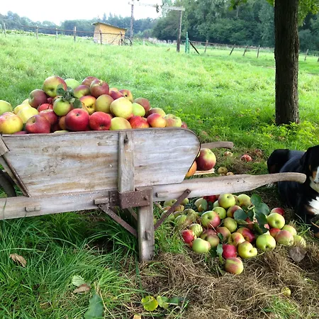 فندق مبيت وإفطار La Ferme Des Isles Autheuil-Authouillet