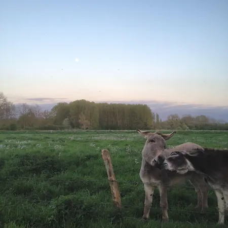 La Ferme Des Isles فندق مبيت وإفطار