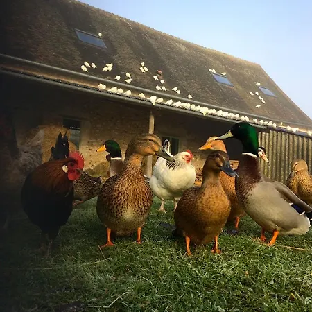 La Ferme Des Isles فندق مبيت وإفطار