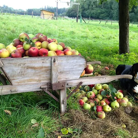 La Ferme Des Isles 3* Autheuil-Authouillet
