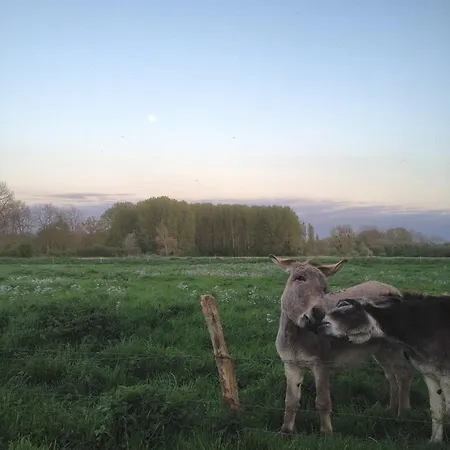 La Ferme Des Isles Authouillet